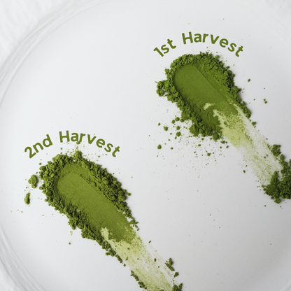 Yame Matcha Powder 1kg | 2nd Harvest (Premium Latte Grade)